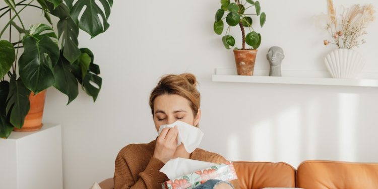 Allergies : déjà des alertes aux pollens à Tarbes