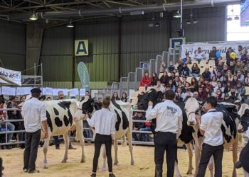 Le salon de l'Agriculture de Tarbes est ouvert