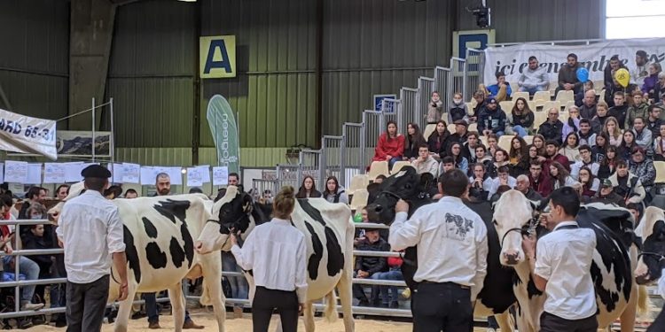 Le salon de l'Agriculture de Tarbes est ouvert