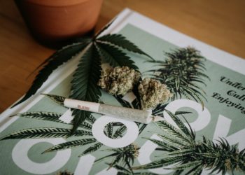 Légalisation du Cannabis, une fausse bonne idée ? Un rapport international met en lumière les risques