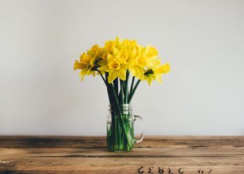 Attention changement de temps ce week end à Tarbes avec une possible tempête dimanche