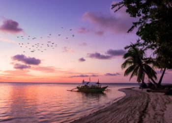 Trois candidats de Koh-Lanta affrontent les lecteurs dans un quiz