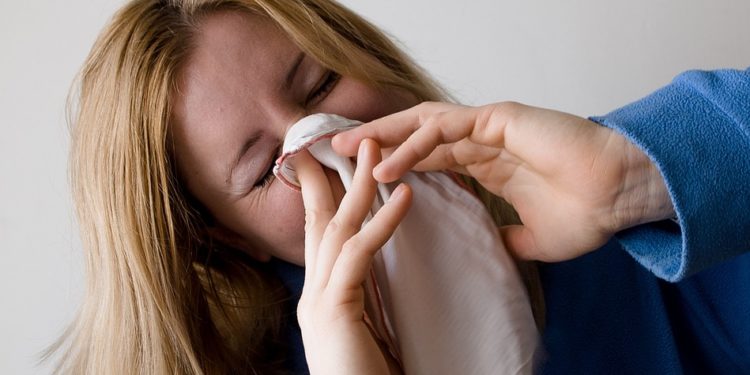 Alerte rouge aux pollens, mauvaise qualité de l'air, situation difficile pour les personnes sensibles à Tarbes