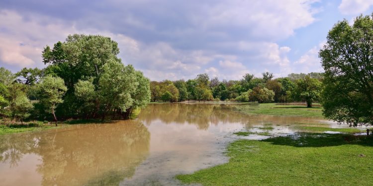 Fortes pluies : Arros, Echez et Adour maintenus en vigilance crues