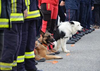 Très violent accident sur l'A64 sens Toulouse Tarbes, le conducteur a pris la fuite