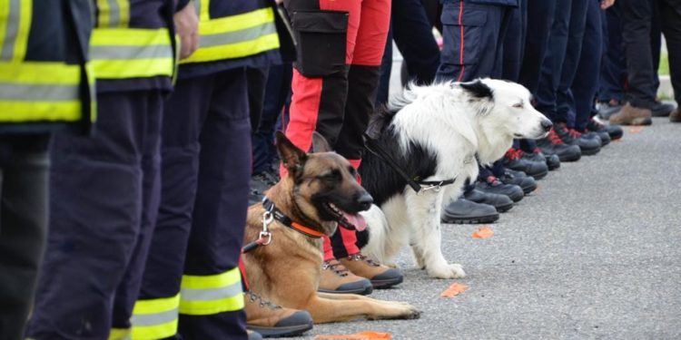 Très violent accident sur l'A64 sens Toulouse Tarbes, le conducteur a pris la fuite