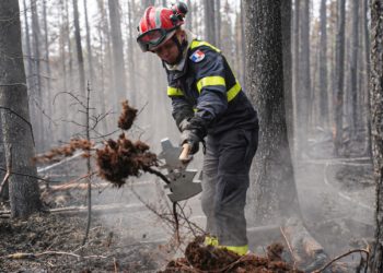 Les pompiers d'Occitanie sur le front des incendies au Canada