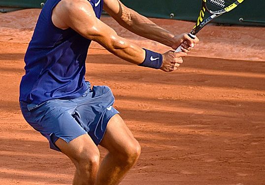 Roland Garros - Alcaraz blessé battu par Djokovic