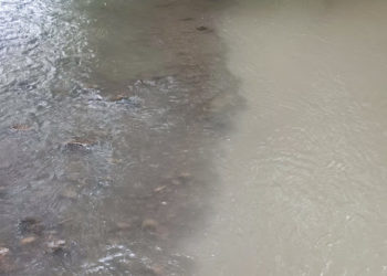 Risques d'inondations Adour Gave Echez Arros : Alerte crue prolongée dans les Hautes Pyrénées