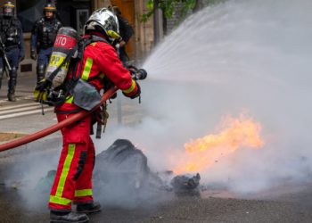 Des animaux asphyxiés après l'incendie d'un magasin