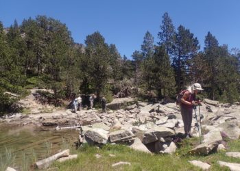 Comment découvrir les plantes et fleurs des Pyrénées