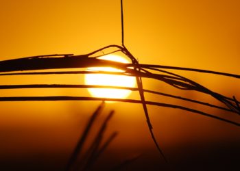 Météo Tarbes, Orages 29 degrés, week end, à quel temps s'attendre cette semaine en Bigorre