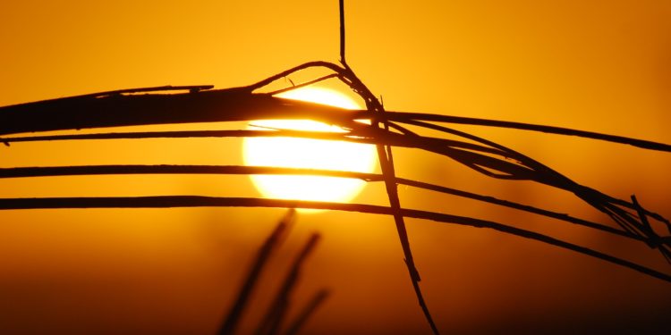 Météo Tarbes, Orages 29 degrés, week end, à quel temps s'attendre cette semaine en Bigorre
