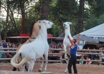 Grand succès populaire pour l'édition 2023 d'Equestria à Tarbes