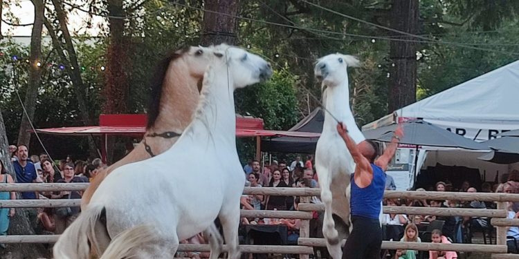 Grand succès populaire pour l'édition 2023 d'Equestria à Tarbes