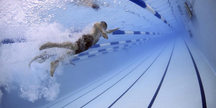 Natation - Léon Marchand bat le record du roi Phelps