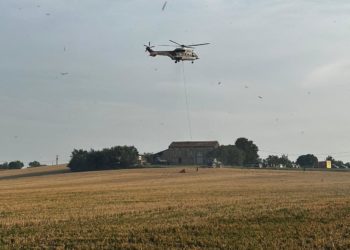 Son véhicule percute un platane : une conductrice décède au sud de Toulouse
