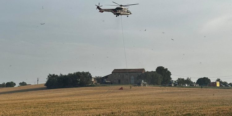 Son véhicule percute un platane : une conductrice décède au sud de Toulouse