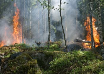 Incendies - pourquoi des hélicoptères combattent-ils le feu par le feu ?
