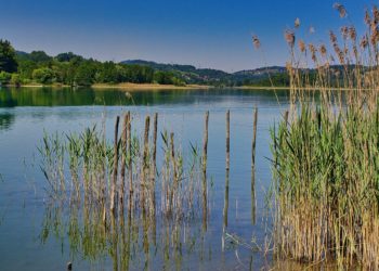 Canicule - 5 lieux pour se rafraîchir à Tarbes