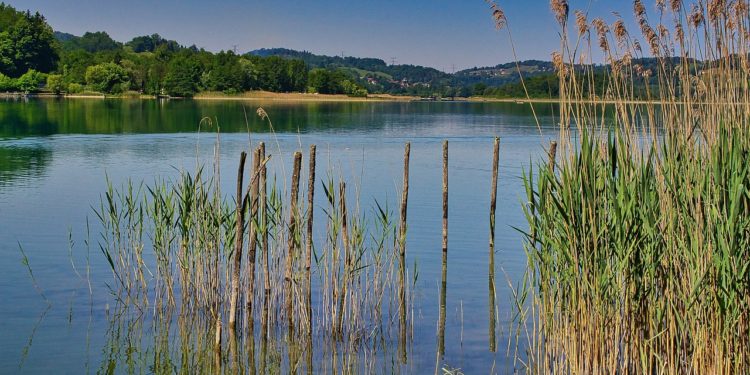 Canicule - 5 lieux pour se rafraîchir à Tarbes