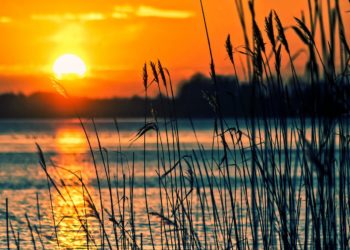 Météo France place Tarbes et les Hautes Pyrénées en alerte vigilance Orange