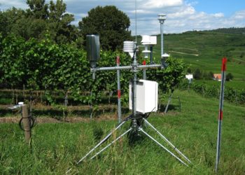 Canicule découvrez où des records absolus de chaleur ont été enregistrés