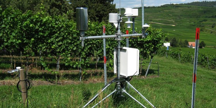 Canicule découvrez où des records absolus de chaleur ont été enregistrés