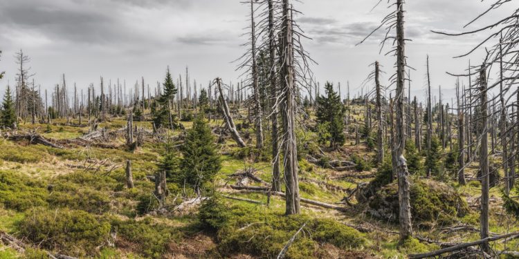 Planification écologique, les promesses de Macron