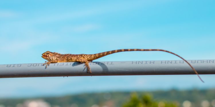 Retour des fortes chaleurs, nuage de sable à quoi s'attendre à Tarbes