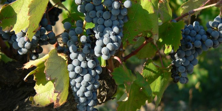 Météo à Tarbes - une fin d'été quasi estivale