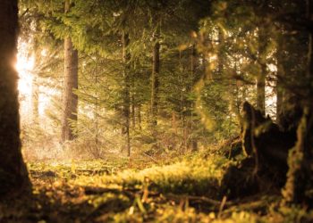 32 degrés ce mercredi à Tarbes, le pic de cette canicule de septembre devrait se prolonger