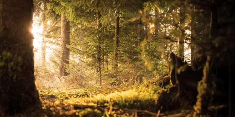 32 degrés ce mercredi à Tarbes, le pic de cette canicule de septembre devrait se prolonger