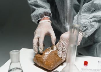 La production de Cocaïne a fortement augmenté en Colombie