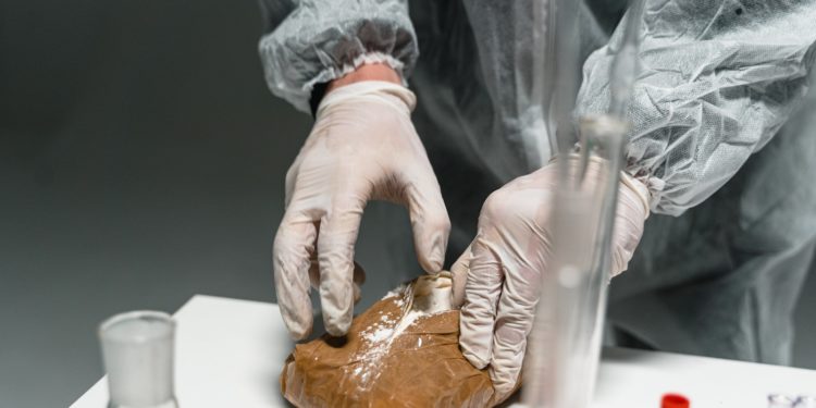 La production de Cocaïne a fortement augmenté en Colombie