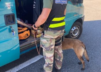 Coup de filet anti drogue à l'entrée de l'A69 Tarbes Ouest