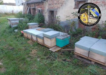 Ils avaient volé plus de 400 ruches et cultivaient du cannabis