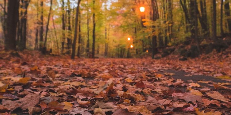 Soleil voilé et hausse des températures ce mardi à Tarbes