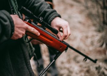 306 armes enregistrées depuis octobre dans les Hautes Pyrénées