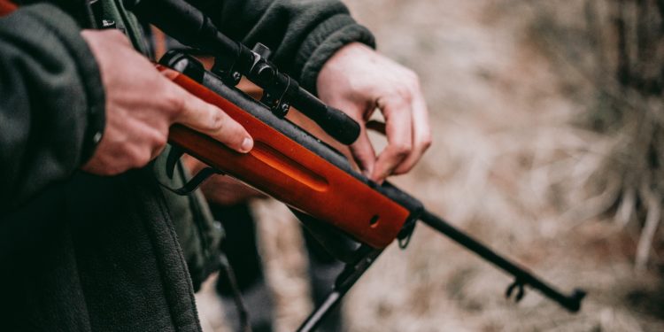 306 armes enregistrées depuis octobre dans les Hautes Pyrénées