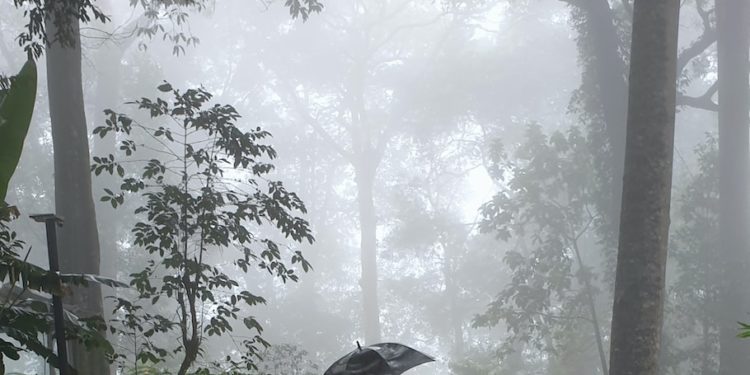 Météo Tarbes - pluie jeudi amélioration en fin de semaine, à quoi s'attendre à Tarbes