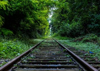 Des centaines de signataires pour la réouverture de la ligne SNCF Bagnères de Bigorre-Tarbes-Morcenx