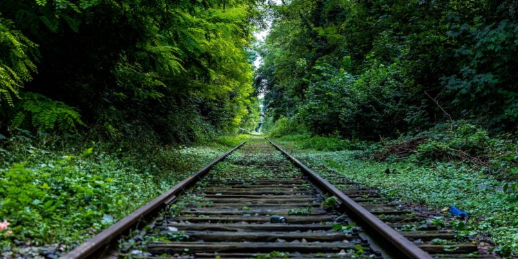 Des centaines de signataires pour la réouverture de la ligne SNCF Bagnères de Bigorre-Tarbes-Morcenx
