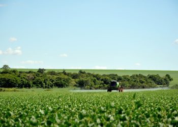 Le glyphosate autorisé pour 10 ans en Europe