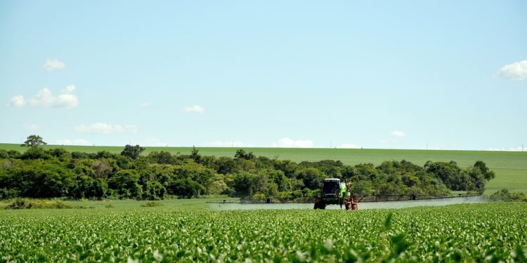 Le glyphosate autorisé pour 10 ans en Europe