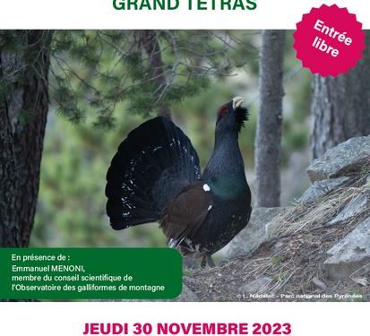 Séméac - Emmanuel Menoni dévoile les secrets du Grand Tétras