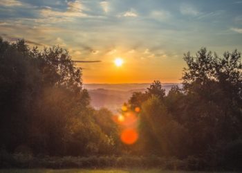 à Tarbes, des cérémonies du 11 novembre sous la pluie, le retour du soleil dimanche 12 novembre