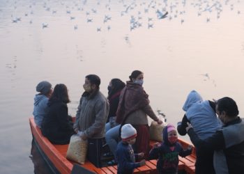 Migrant'Scène dans les Hautes Pyrénées : le programme