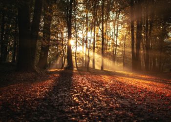 Le retour du soleil ce dimanche après midi à Tarbes, le 65 reste en alerte aux crues