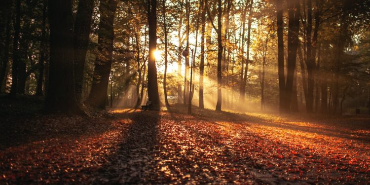 Le retour du soleil ce dimanche après midi à Tarbes, le 65 reste en alerte aux crues